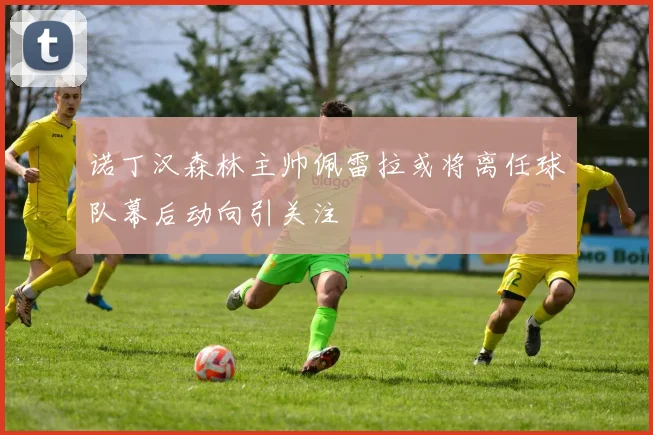 诺丁汉森林主帅佩雷拉或将离任球队幕后动向引关注