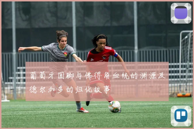 葡萄牙国脚与佛得角血统的渊源及德尔加多的归化故事